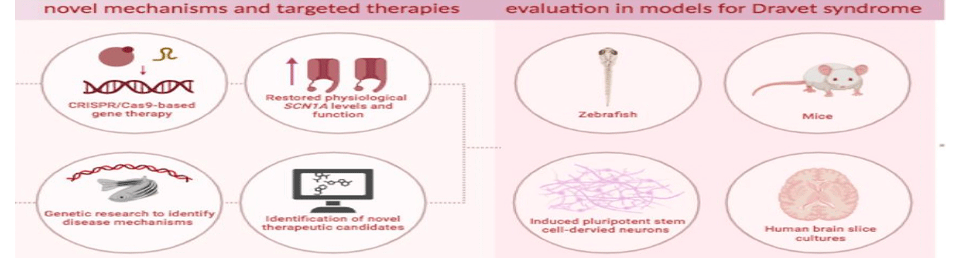 hero_progett_meeting